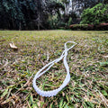 White Beads - Amabhule Amhlophe