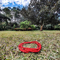 Red Beads - Amabhule Abomvu